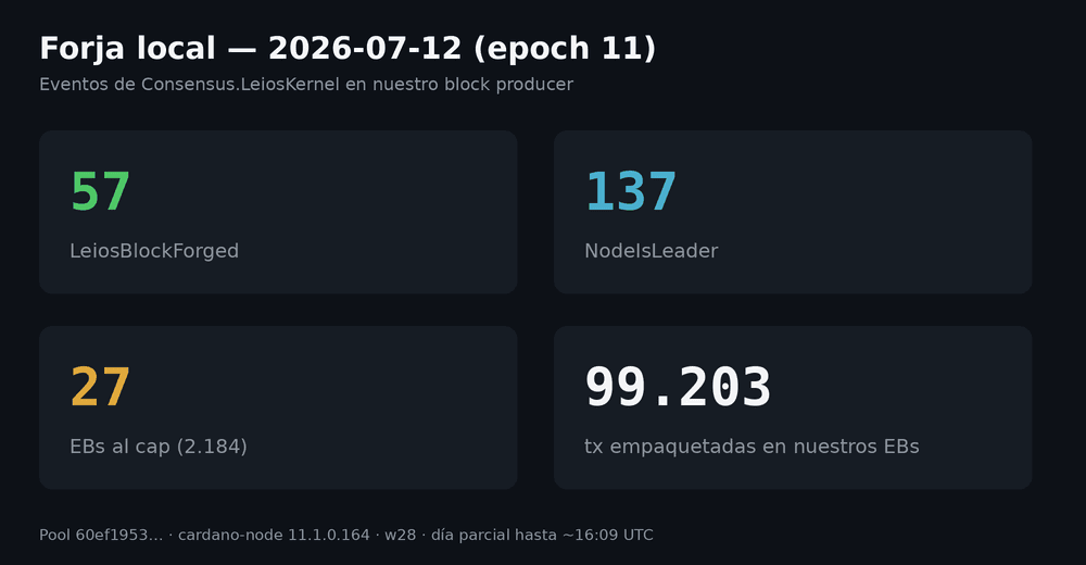 KPIs de forja: leaders, EBs forjados, hits al cap, suma de numTxs